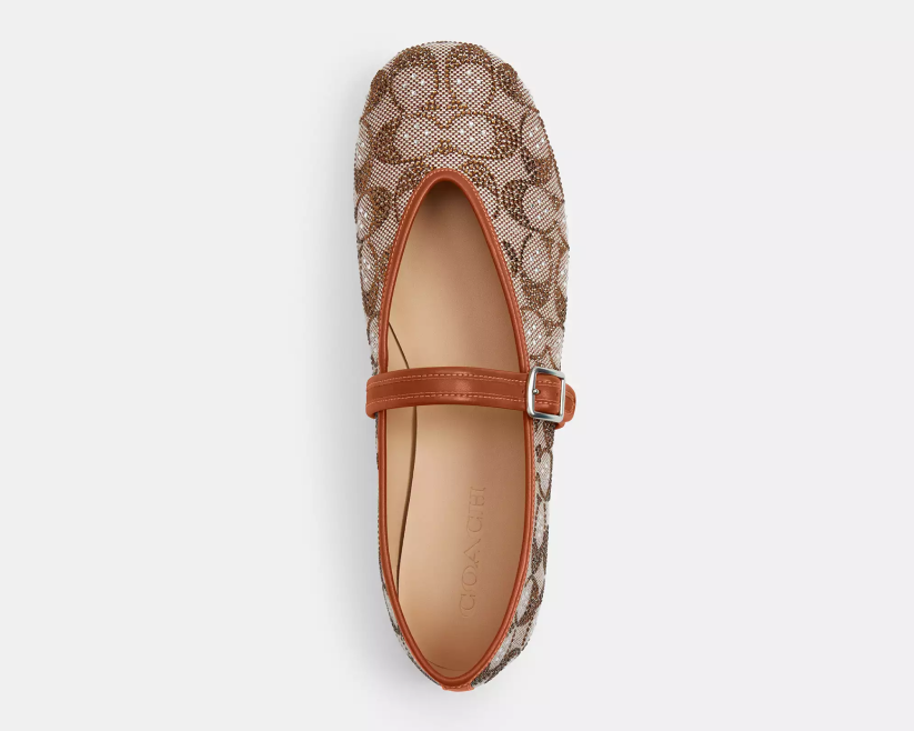 Mary Jane Ballet Flats in Crystal Signature Jacquard