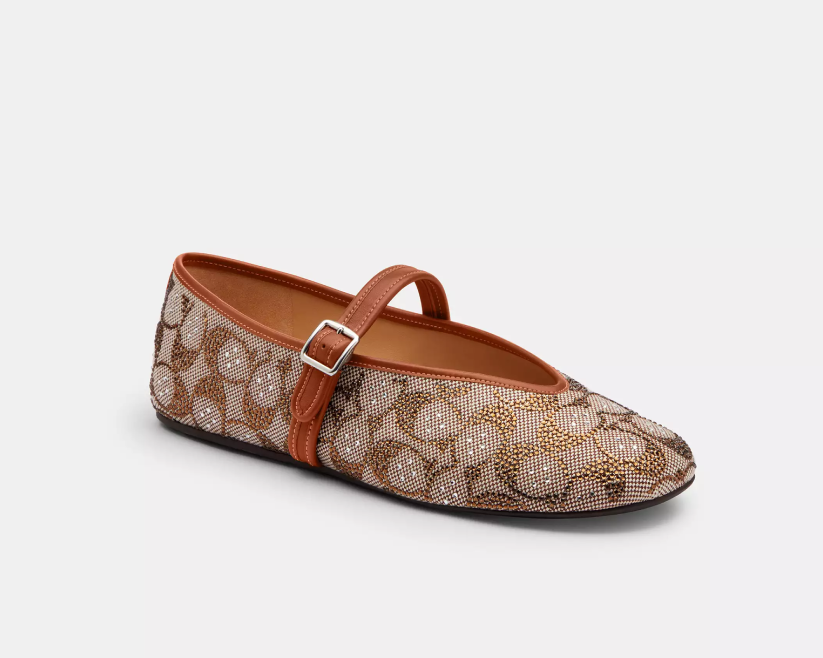 Mary Jane Ballet Flats in Crystal Signature Jacquard